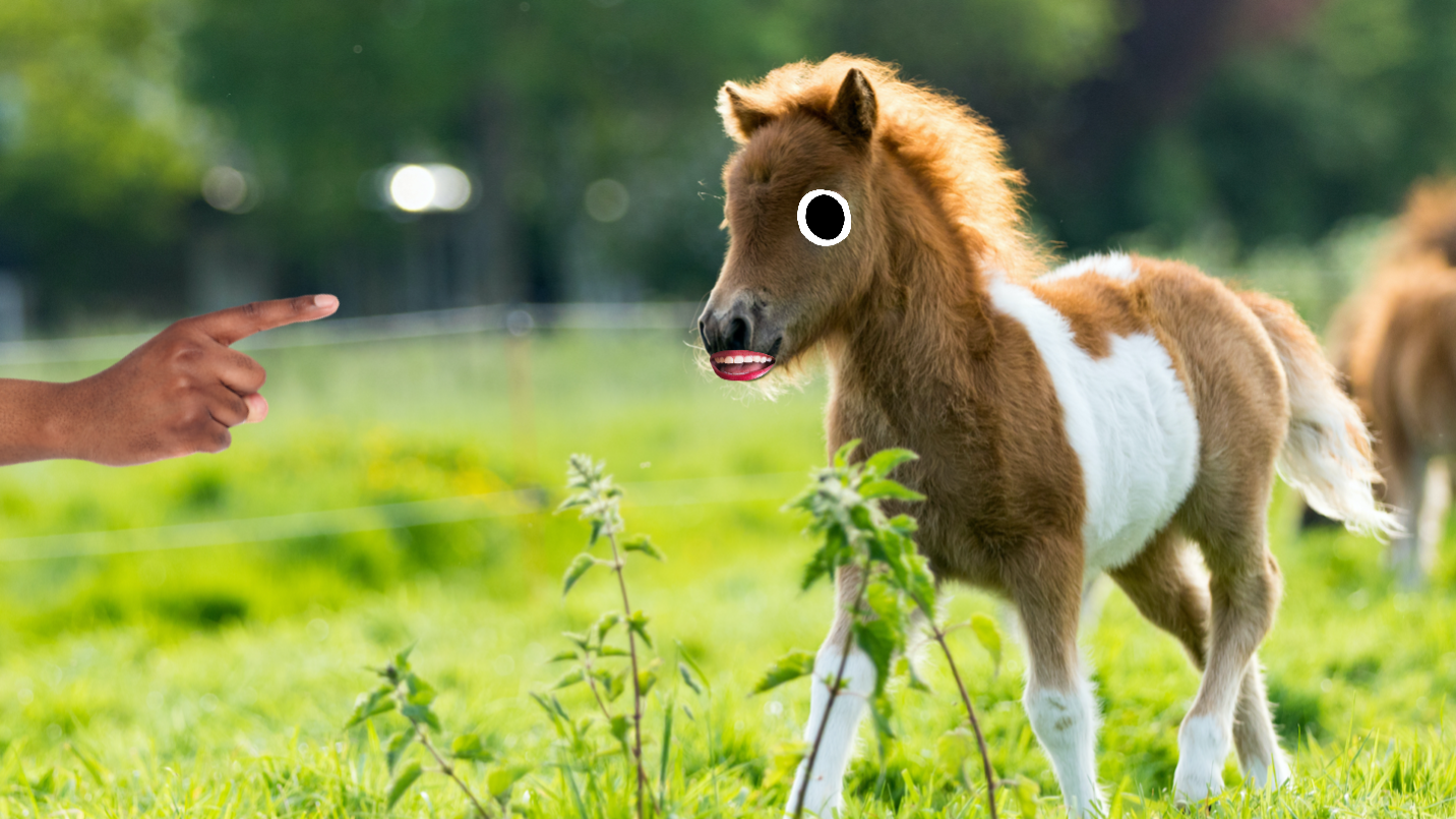 A small pony