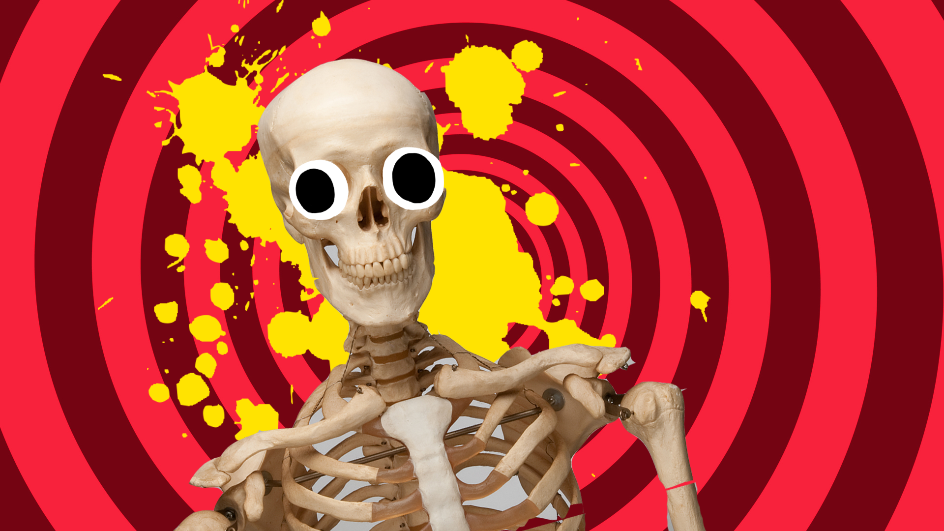 41 Best Skeleton Jokes Your Friends Will Find Humerus 