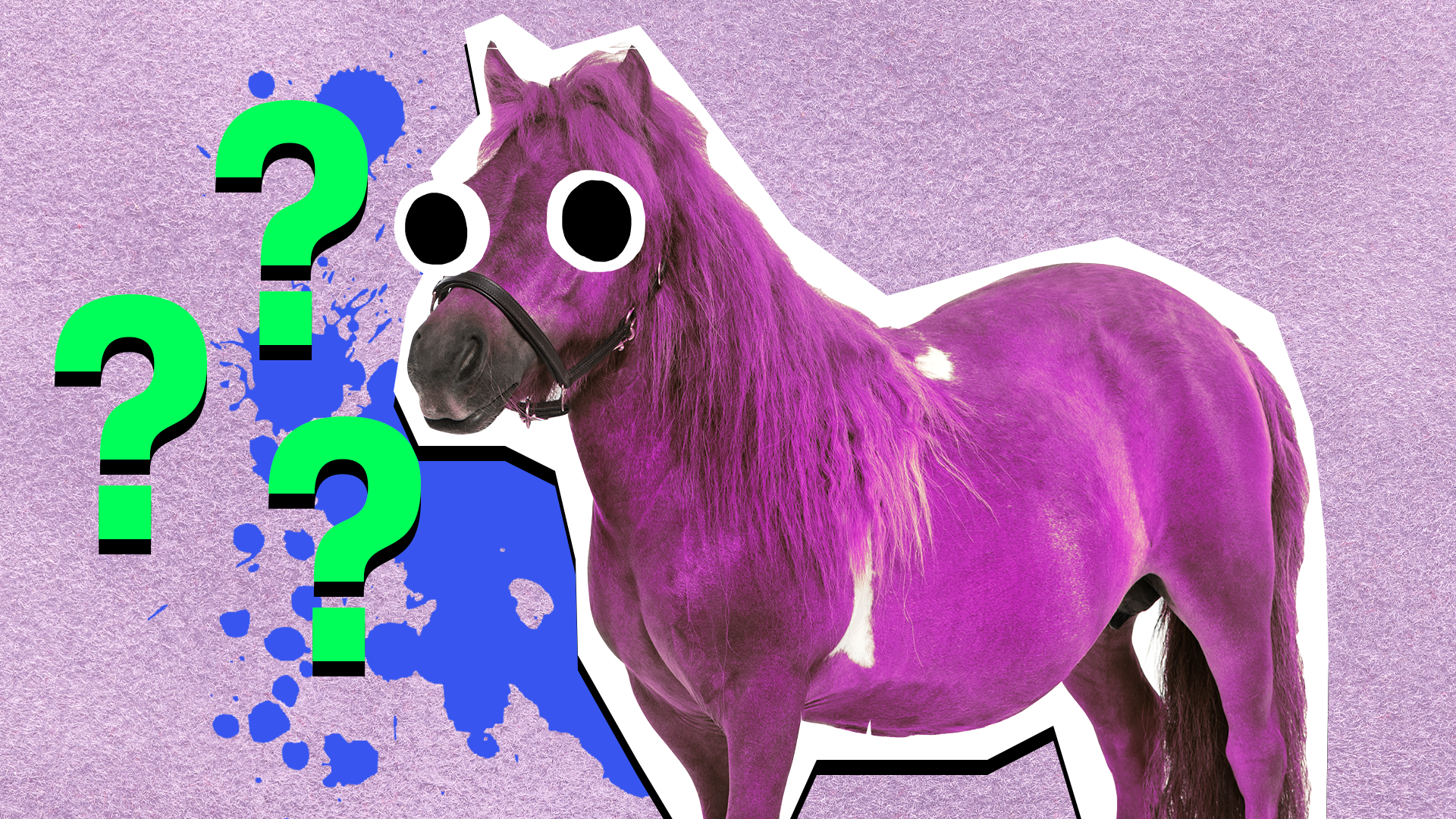 My little pony name quiz thumbnail