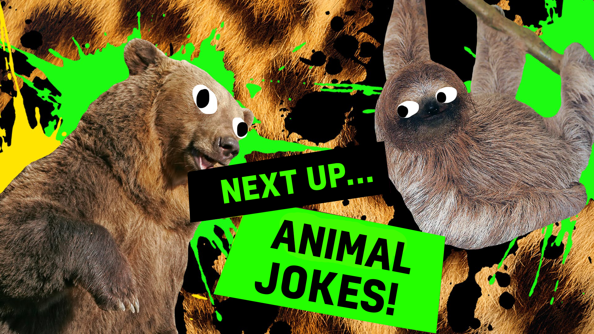 Animal jokes thumbnail