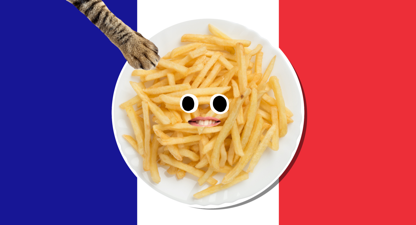 A plate of chips set against a French flag