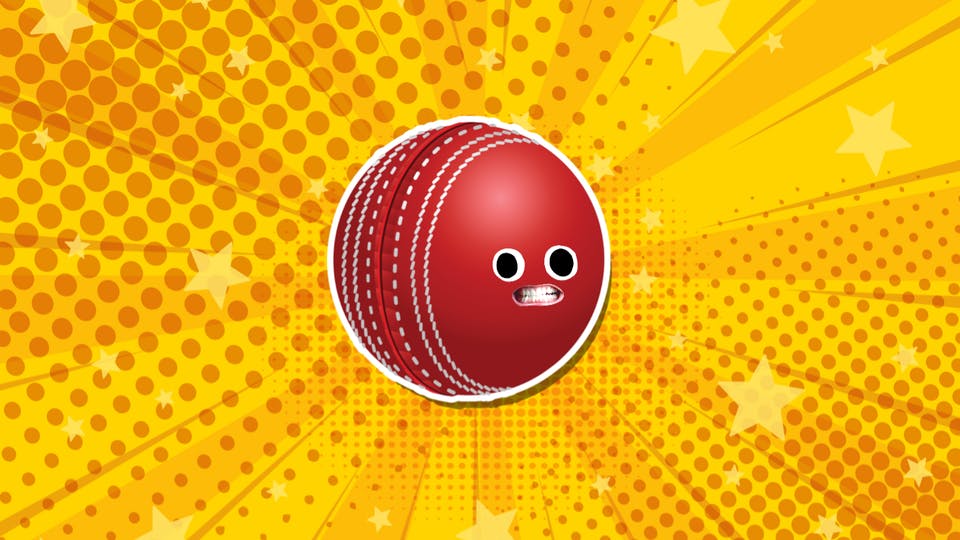 Cricket ball