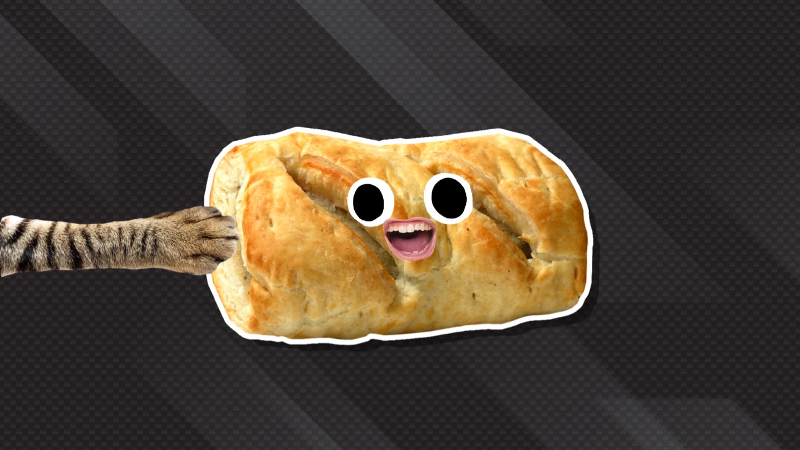 A cat's paw touching a sausage roll
