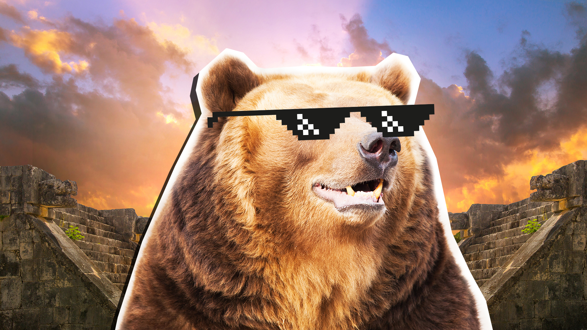 A brown bear wearing sunglasses