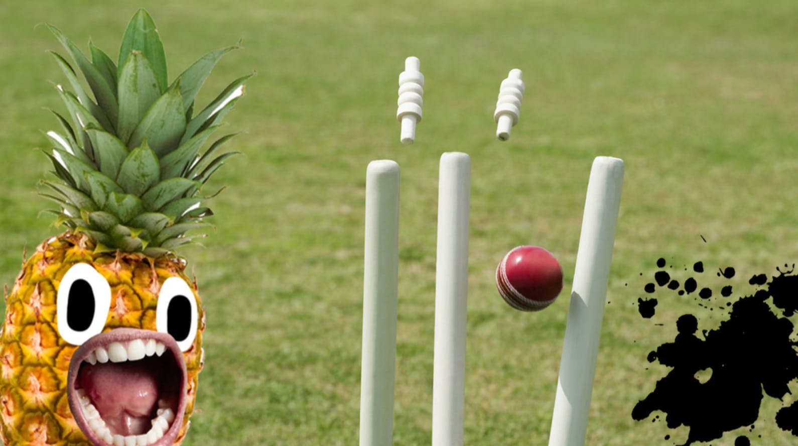 A pineapple witnessing a ball hitting stumps 