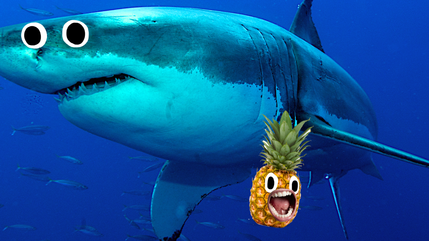 Shark and pineapple