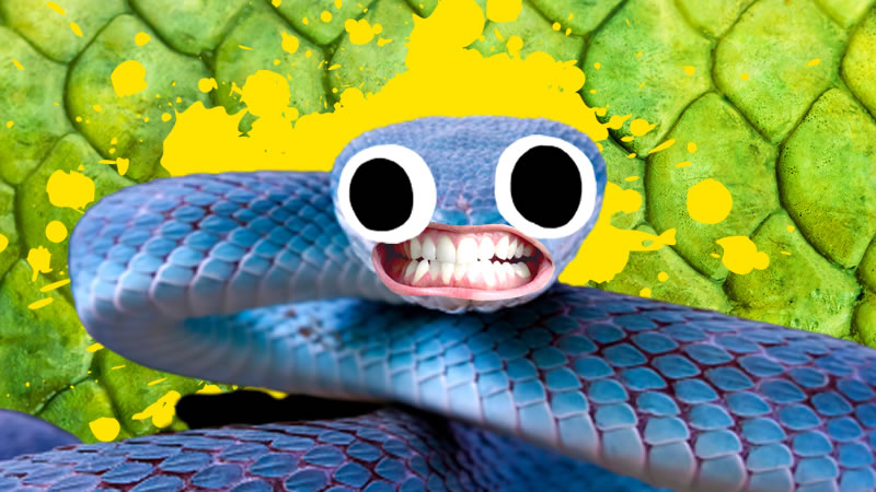 16 Snake Jokes Which Are Hilariousssssss! 