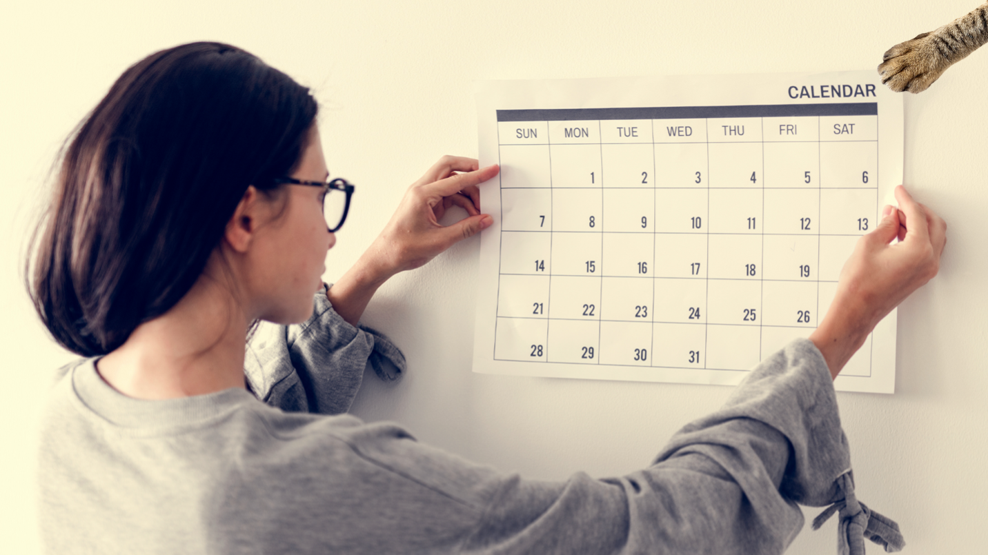 A woman putting a calendar on the wall