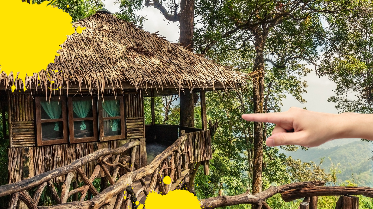 Hand pointing to jungle treehouse