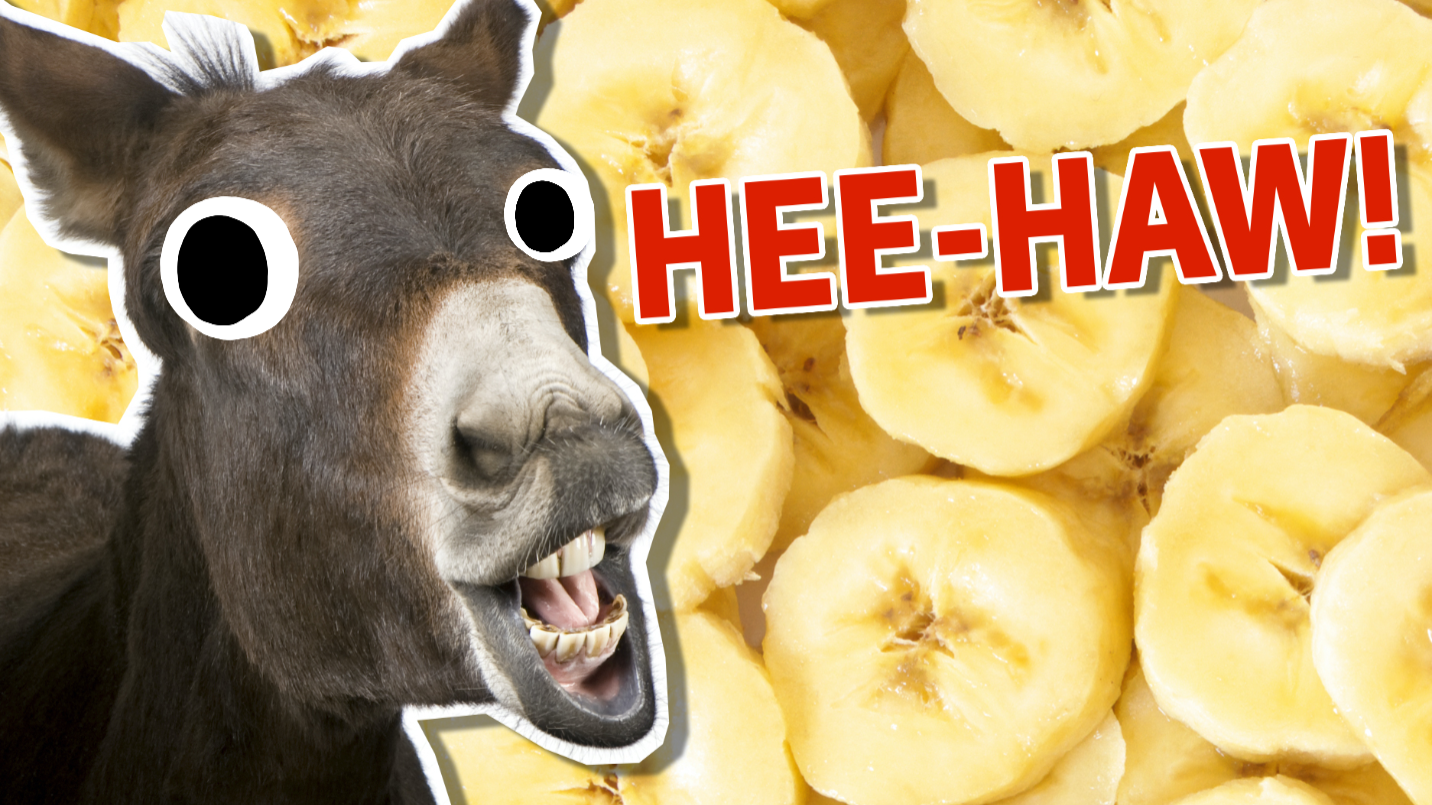 Hee-haw says the donkey