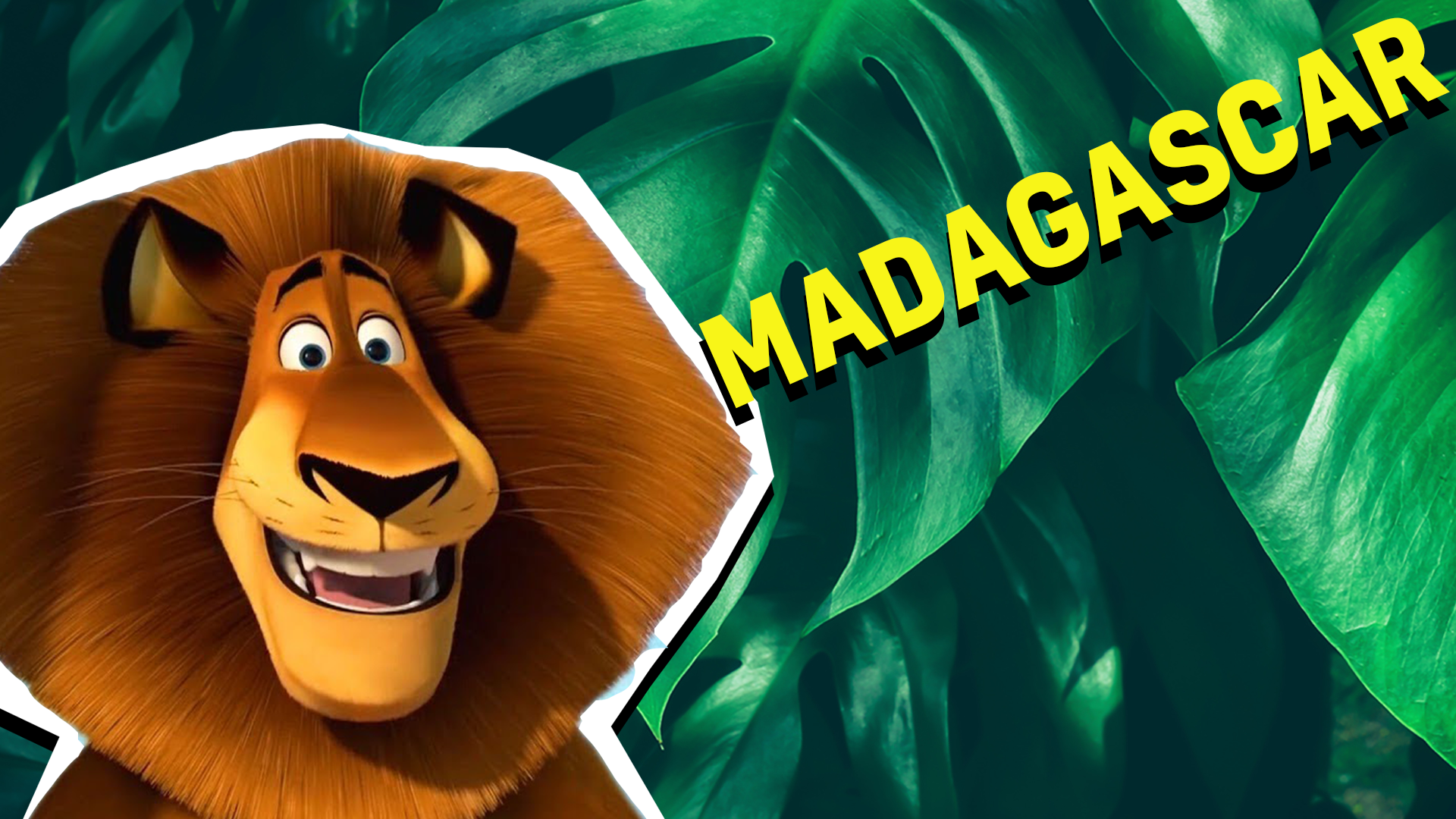 Madagascar Result