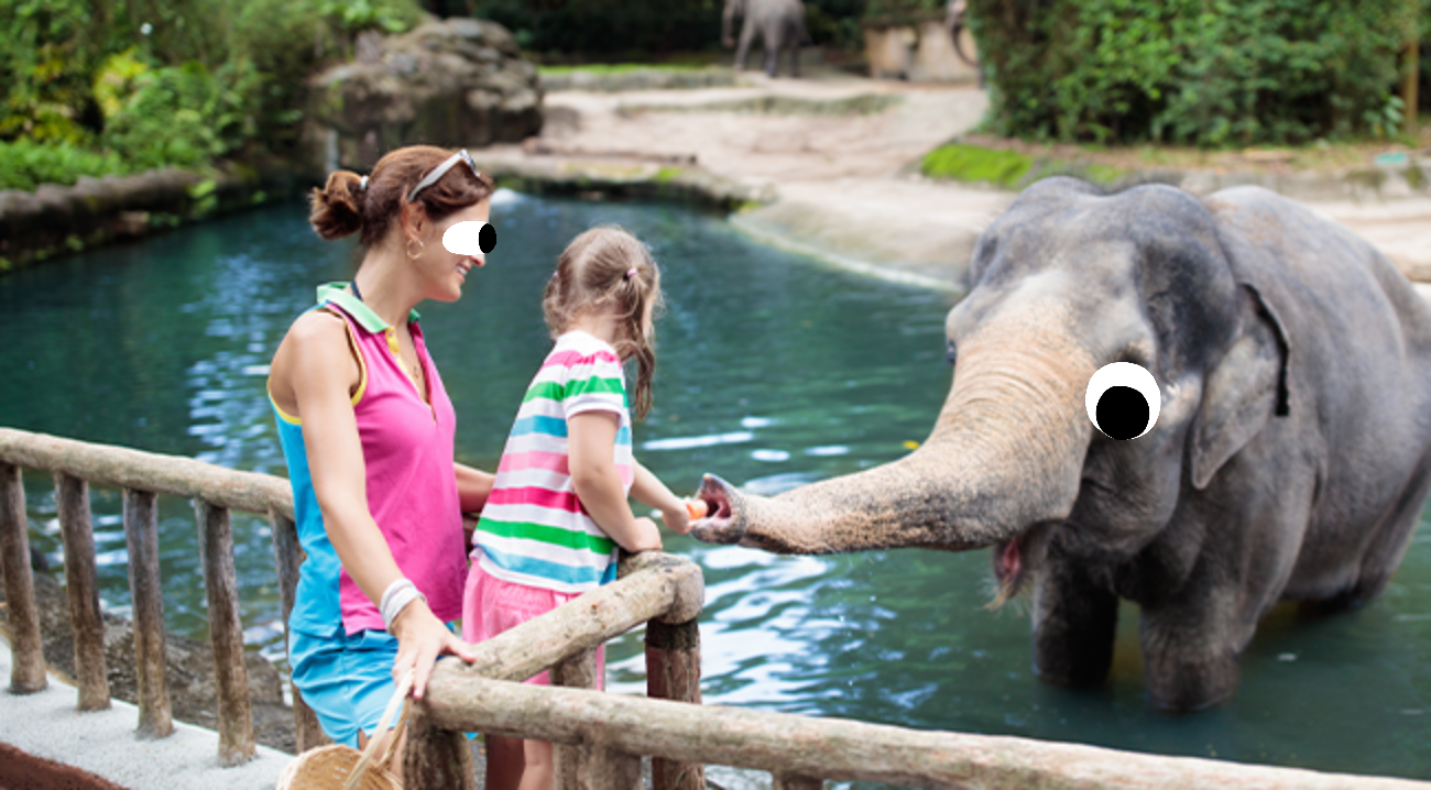 Woman and child feeding elephant at zoo