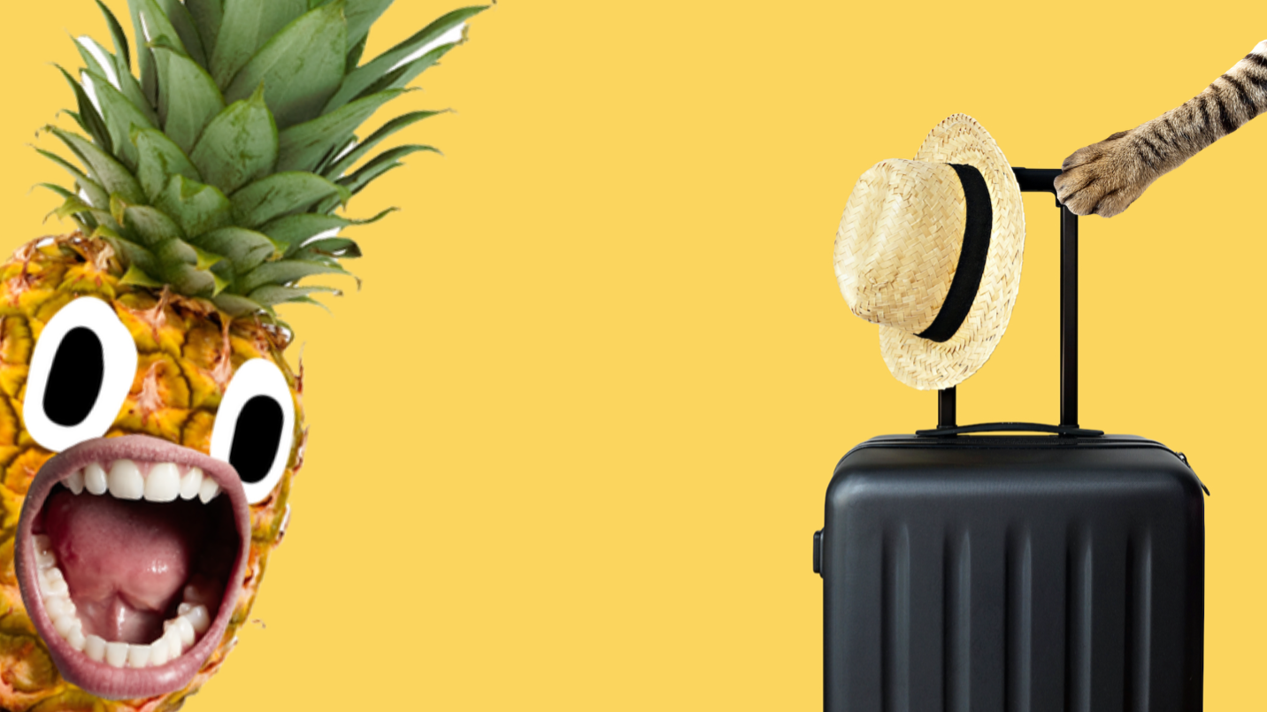 A pineapple and a suitcase 