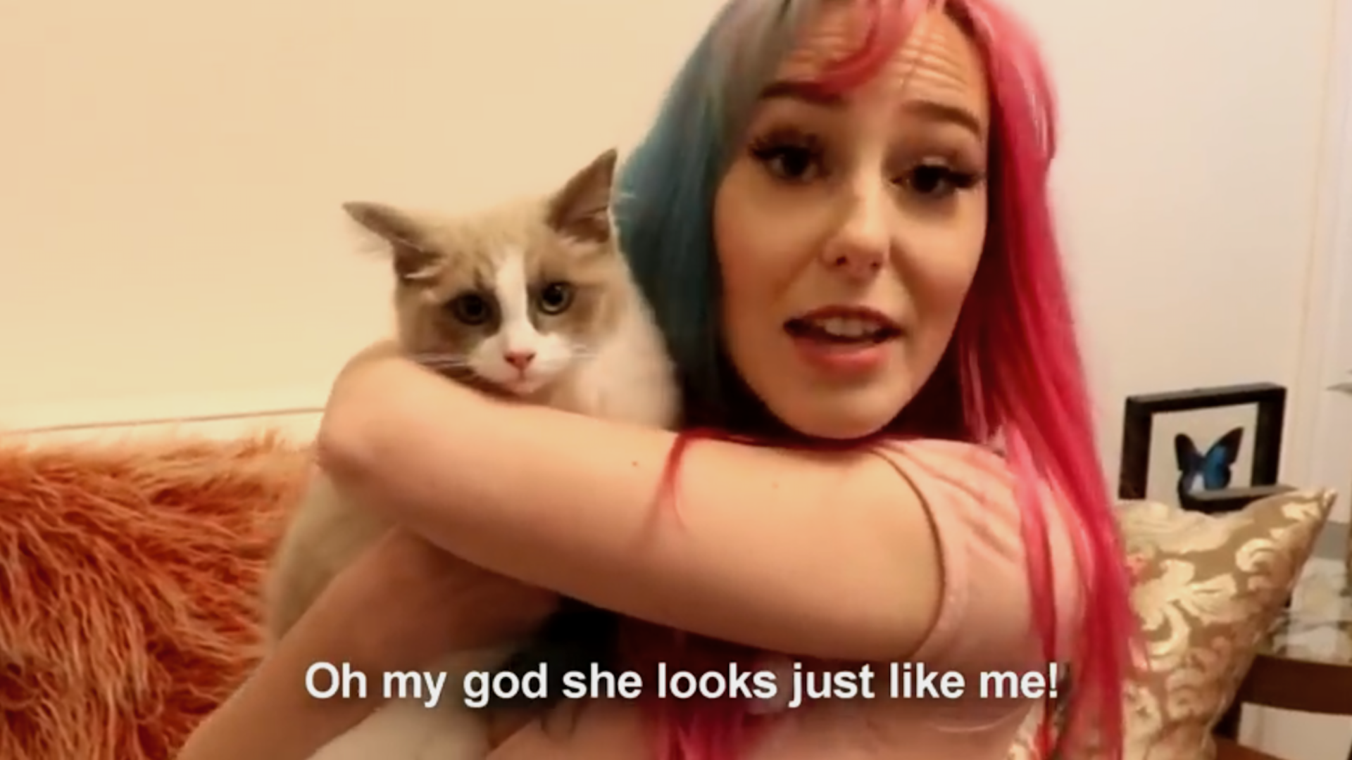 MeganPlays and her cat