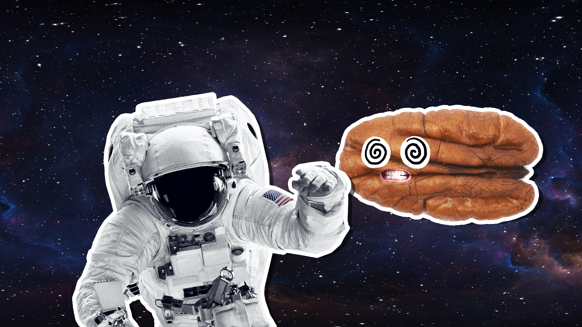 A pecan and astronaut in space 