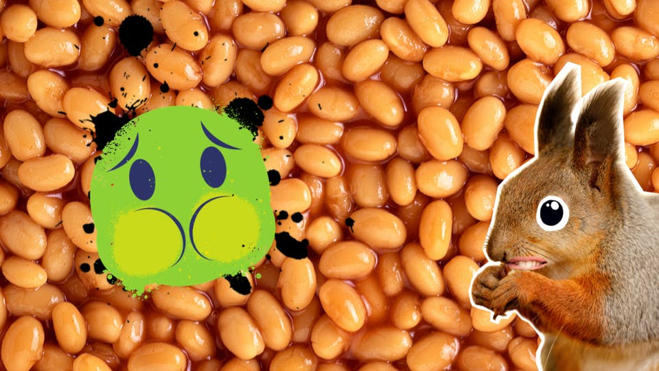 A squirrel, beans and a nauseous emoji