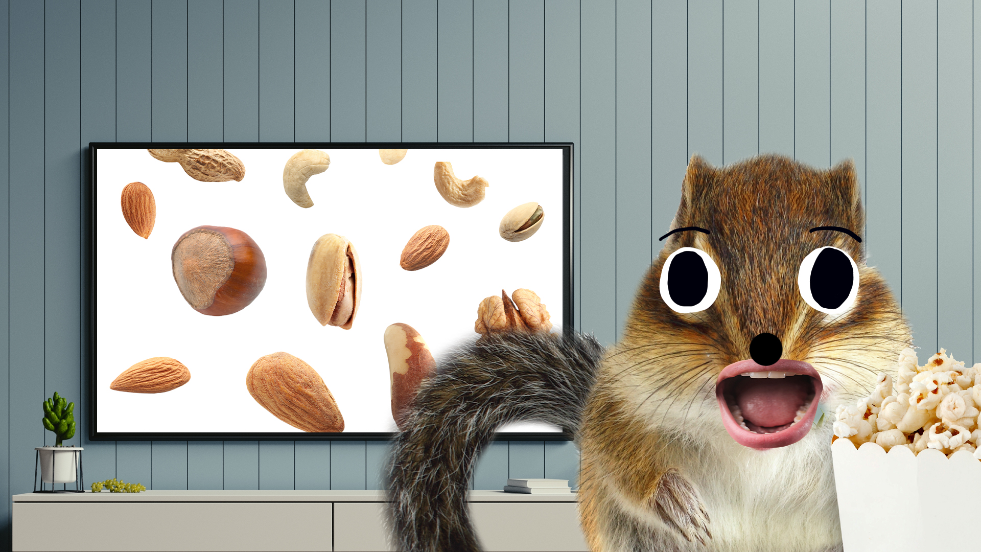 A squirrel watching tv]