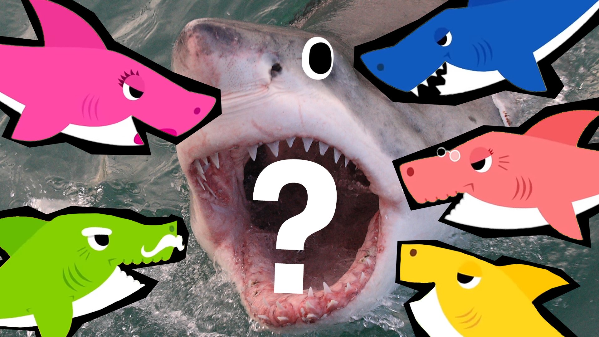 Which Baby Shark Character Are You?