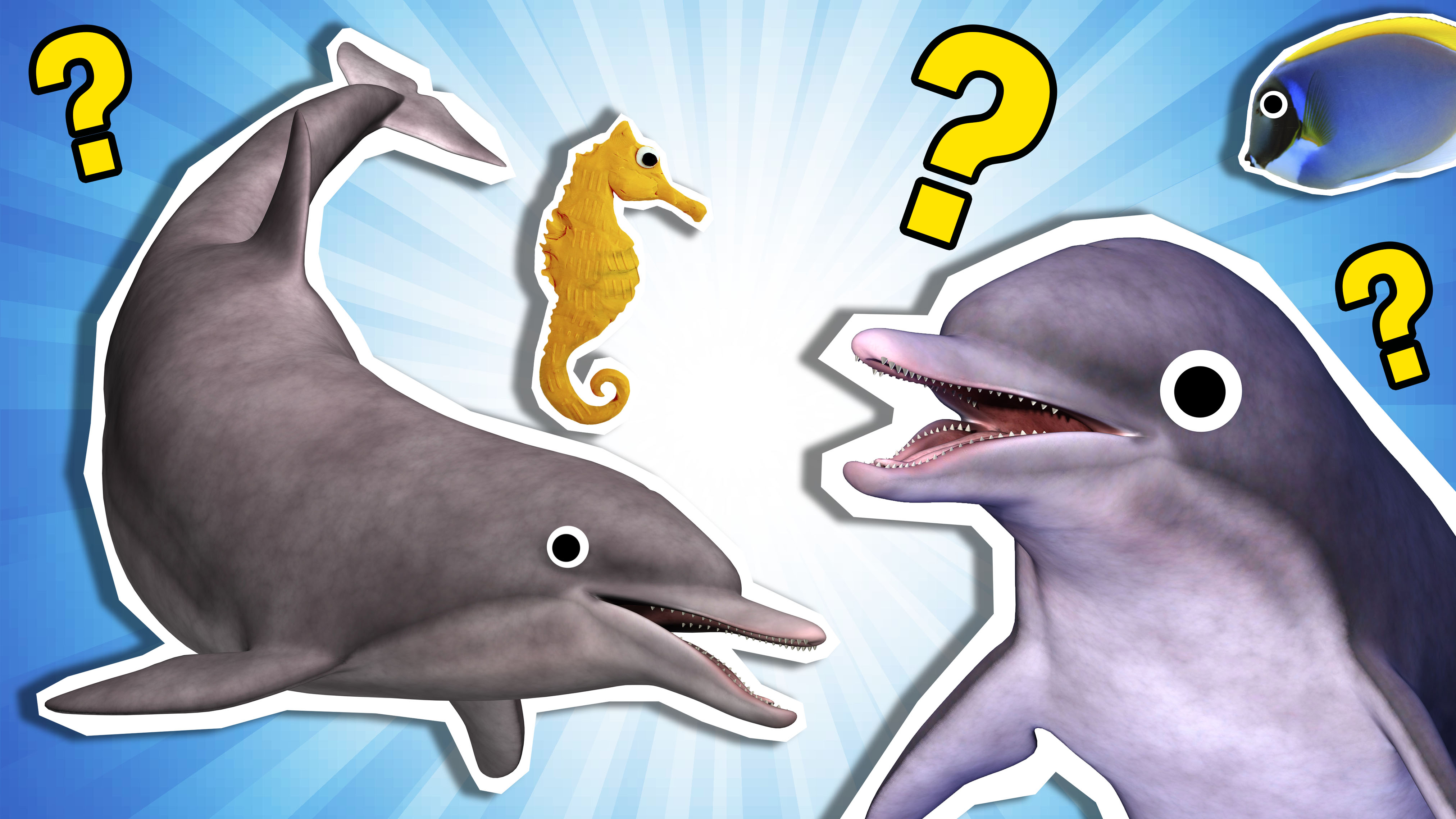 Personality Quiz: What Dolphin Are You?