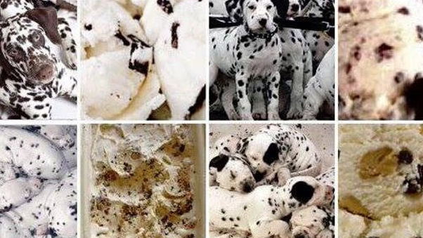 Dalmatian or Ice-cream?