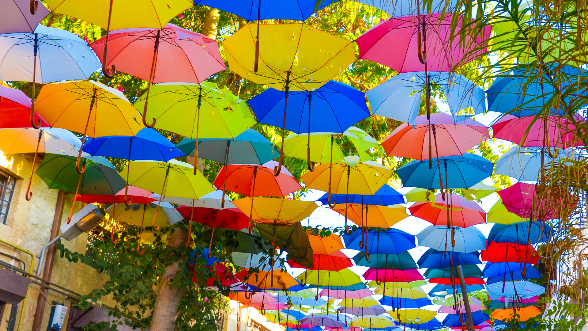 Cyprus street with hanging umbrellas
