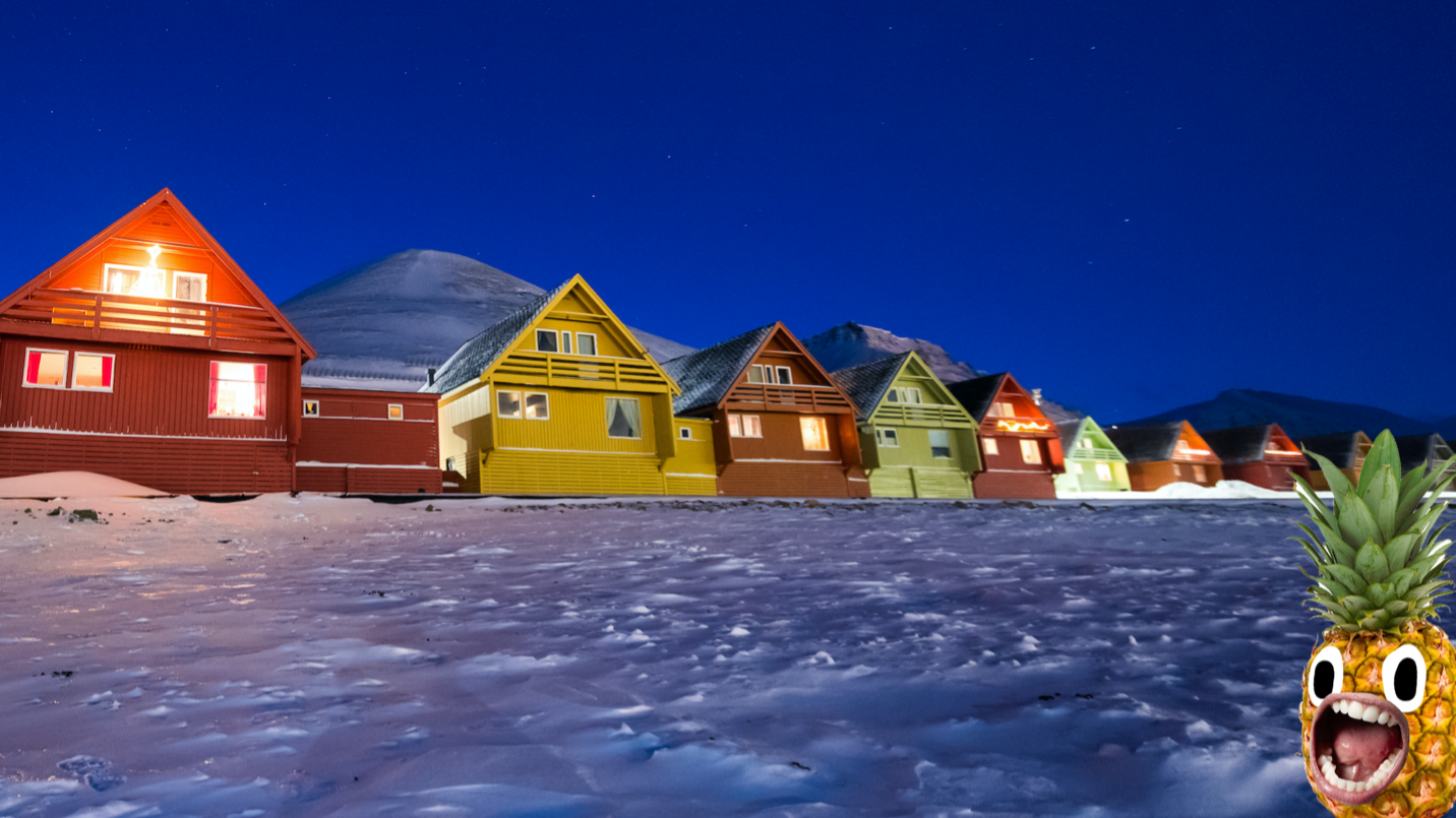 A snowy row of houses 