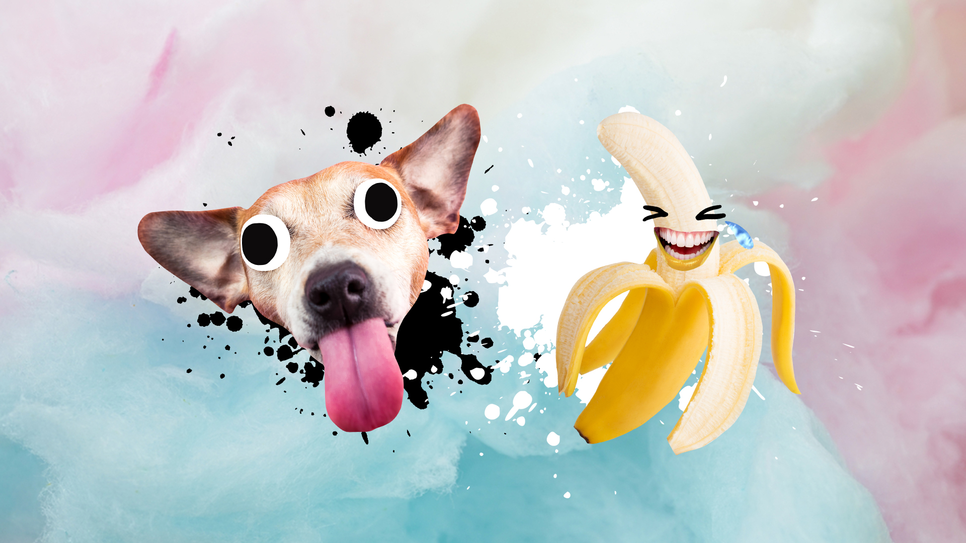 A laughing banana and a cheeky dog