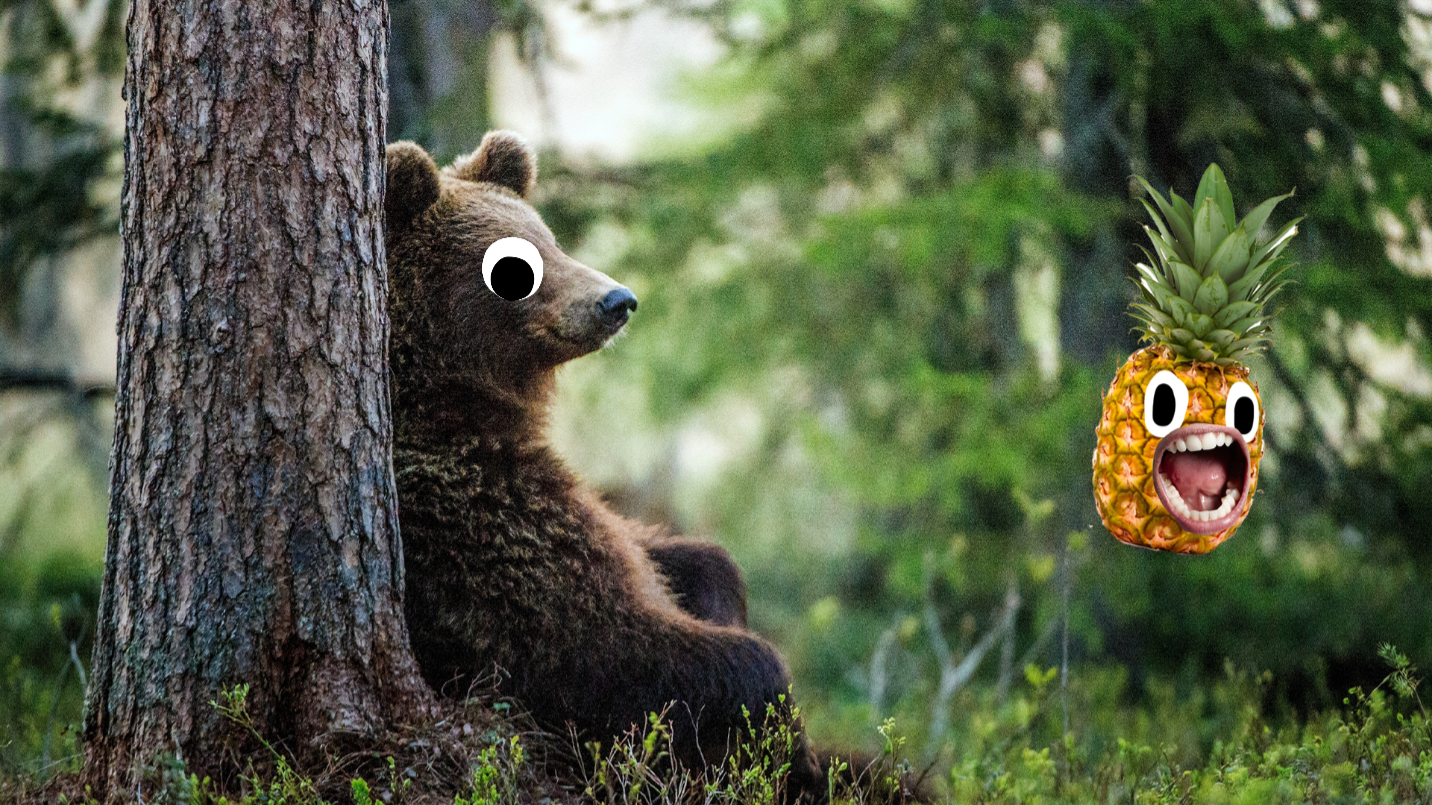 Bear next to tree in woods