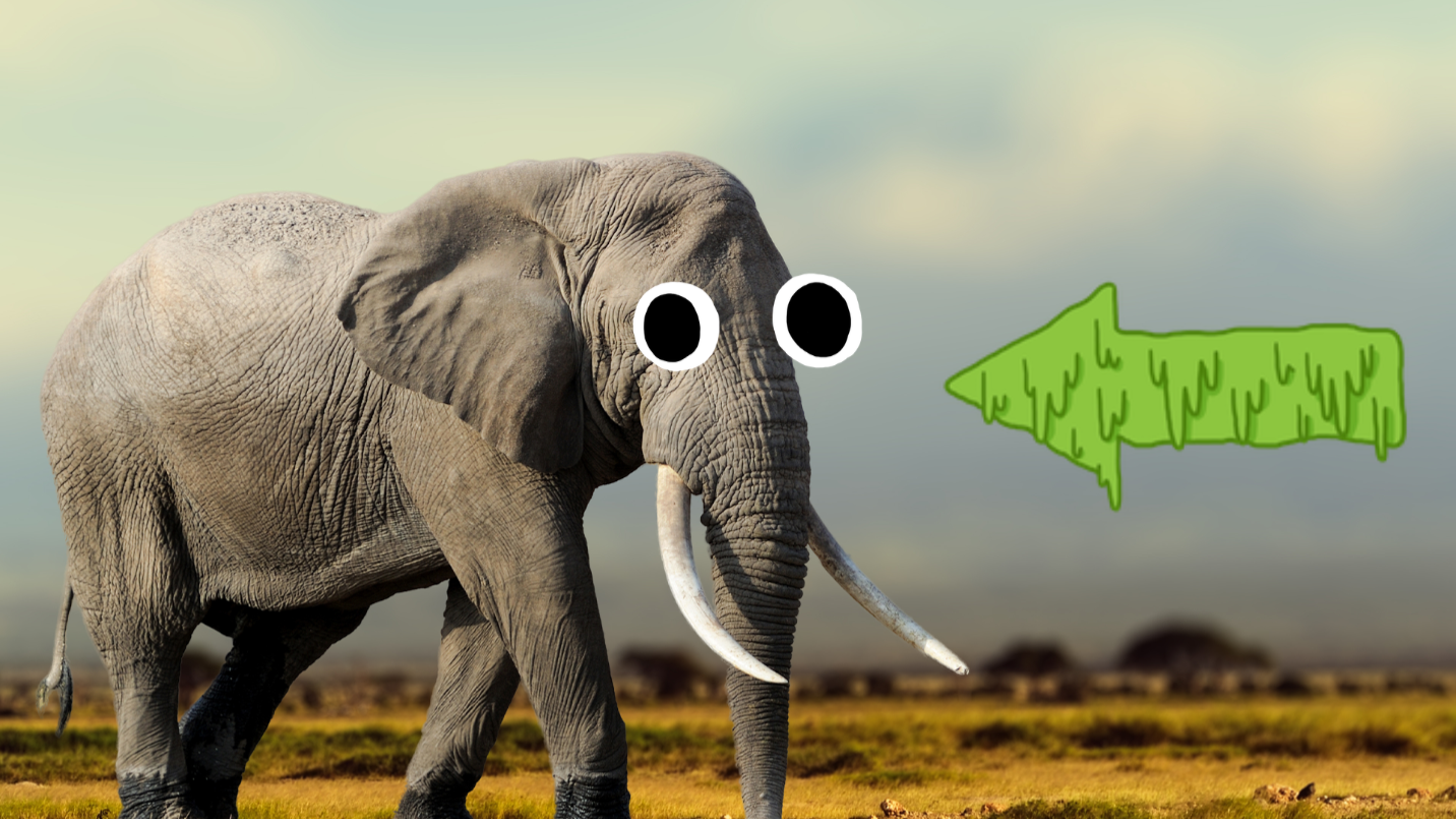 Elephant on plain 