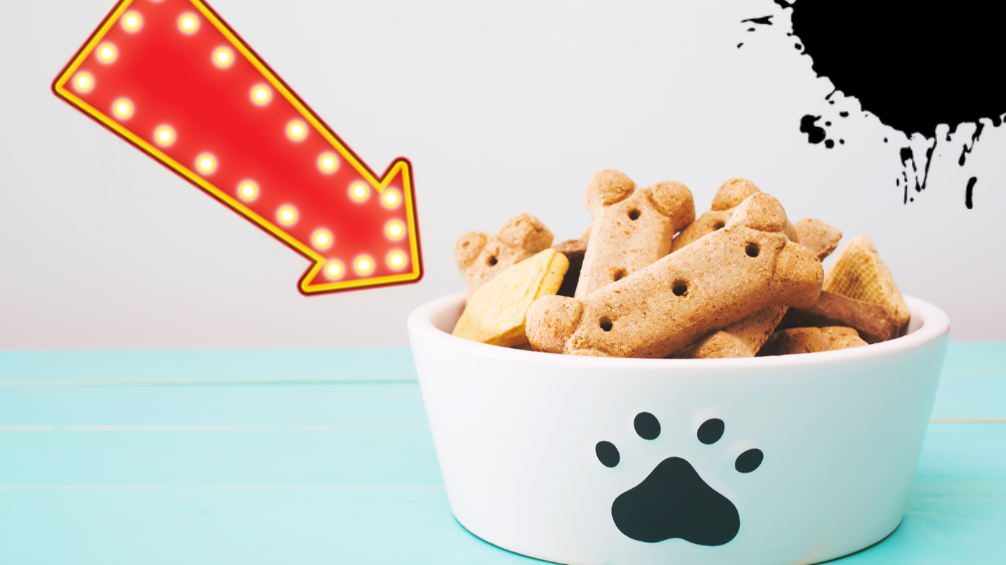 Bowl of dog biscuits on blue table
