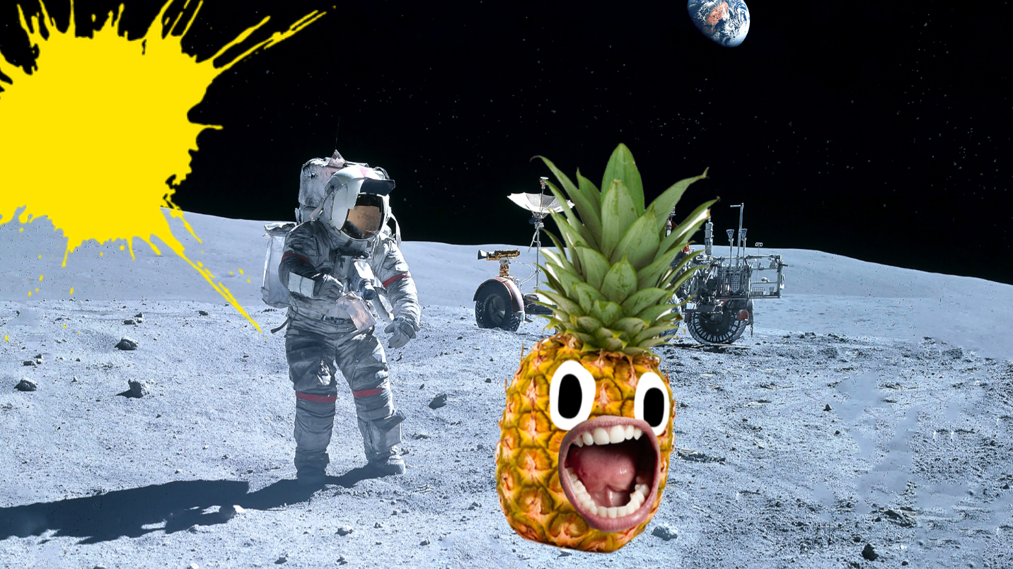 Moon landing 