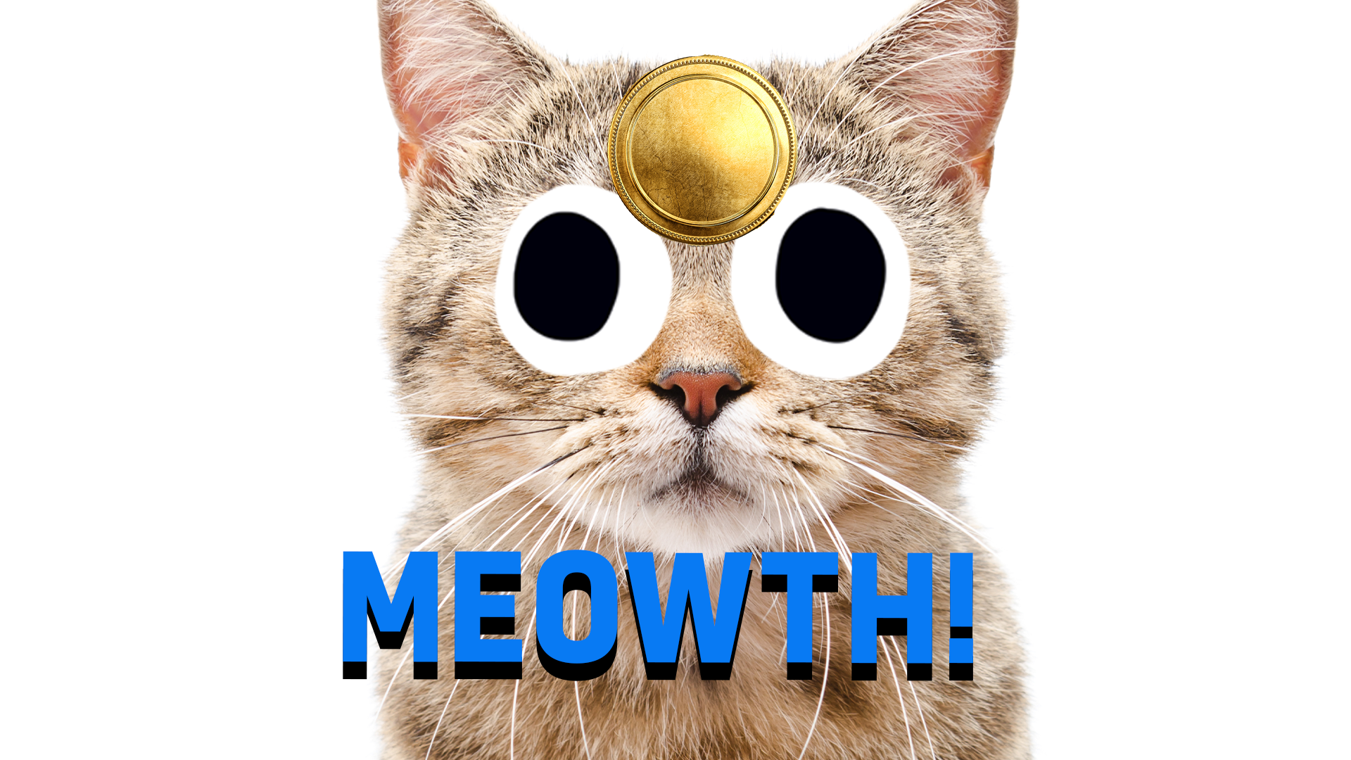 Meowth thumbnail