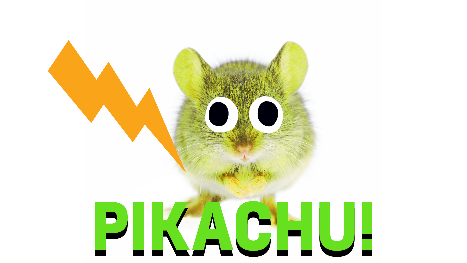 Pikachu thumbnail