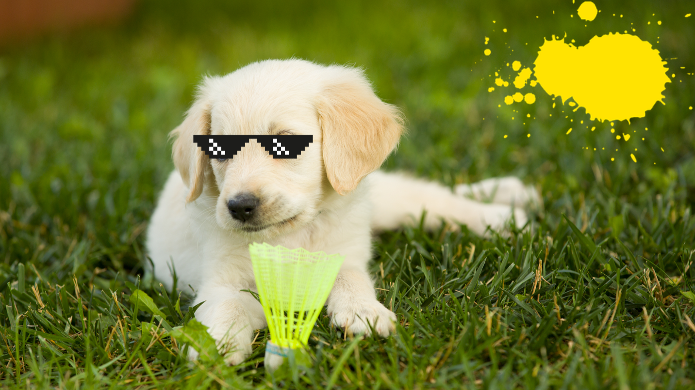 puppy with shuttlecockon grass