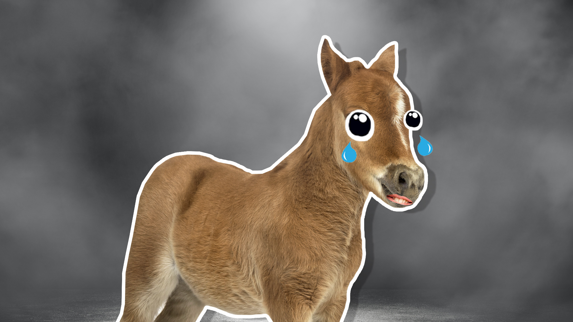 A sad pony