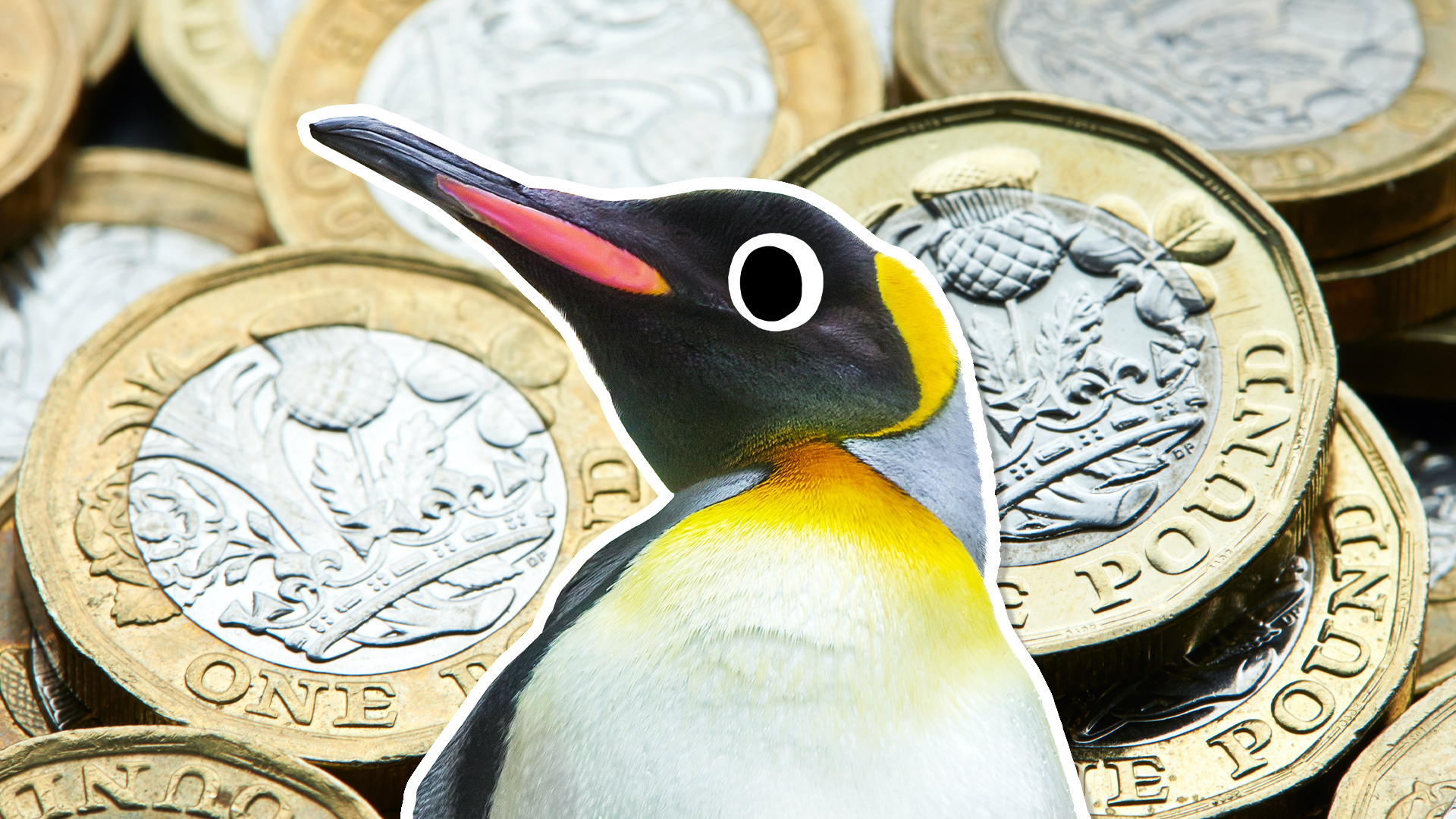 Penguin and coins