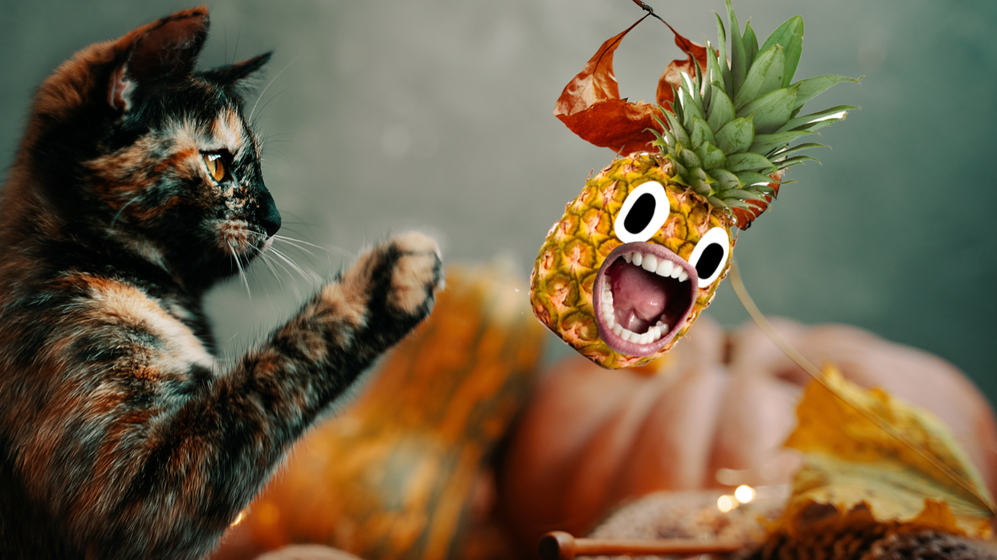 Cat batting at autumn leaves with screaming pineapple