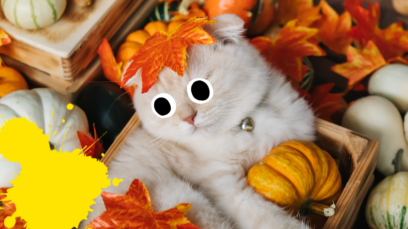 Cat surrounded by leaves and gourds