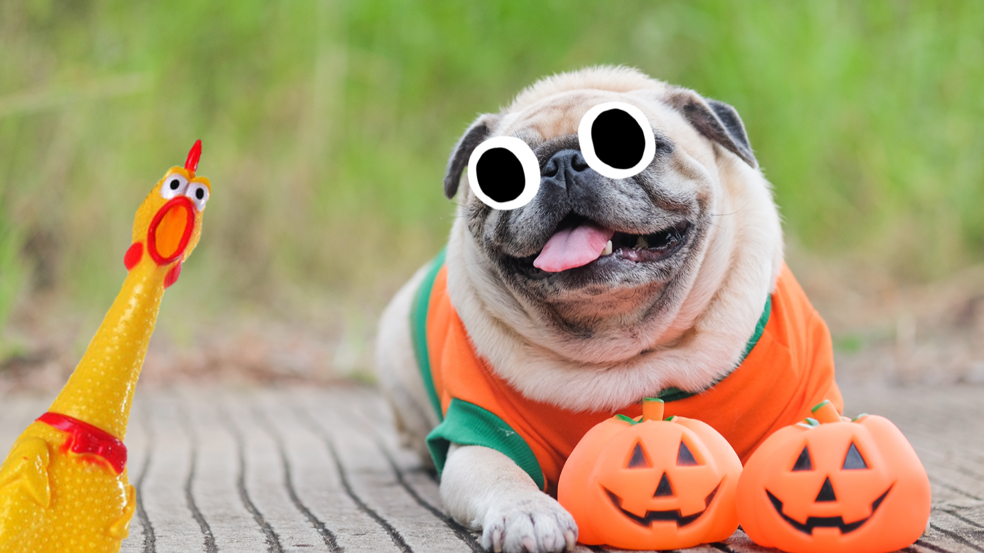 Pug with Halloween decorations on grass
