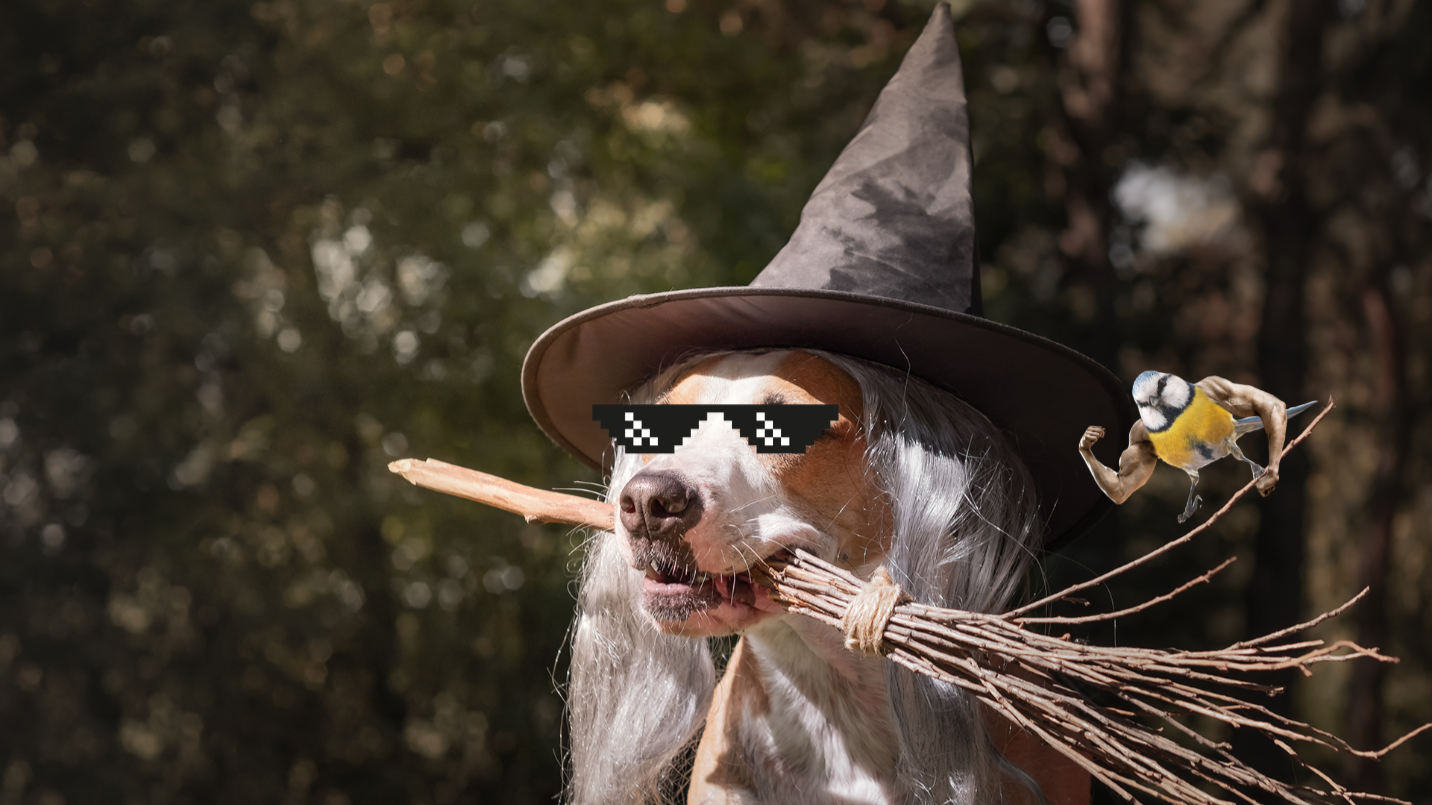 Dog in witch's hat with broom in mouth in front of trees