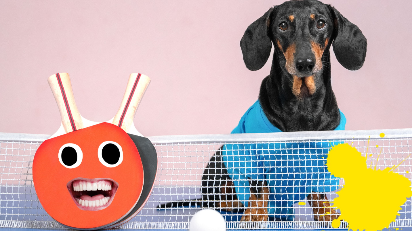 Dog with table tennis equipment 