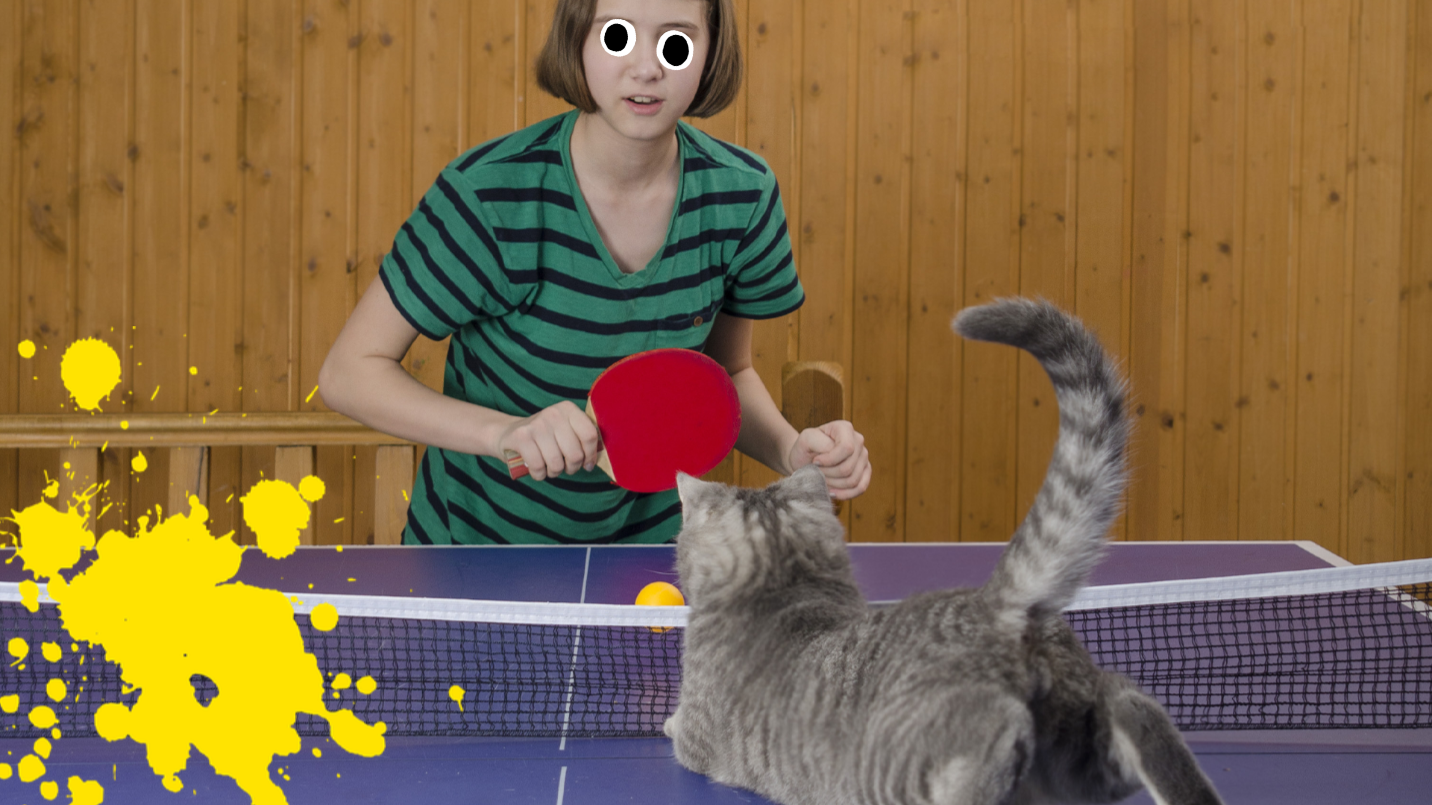 Woman playing ping pong with cat