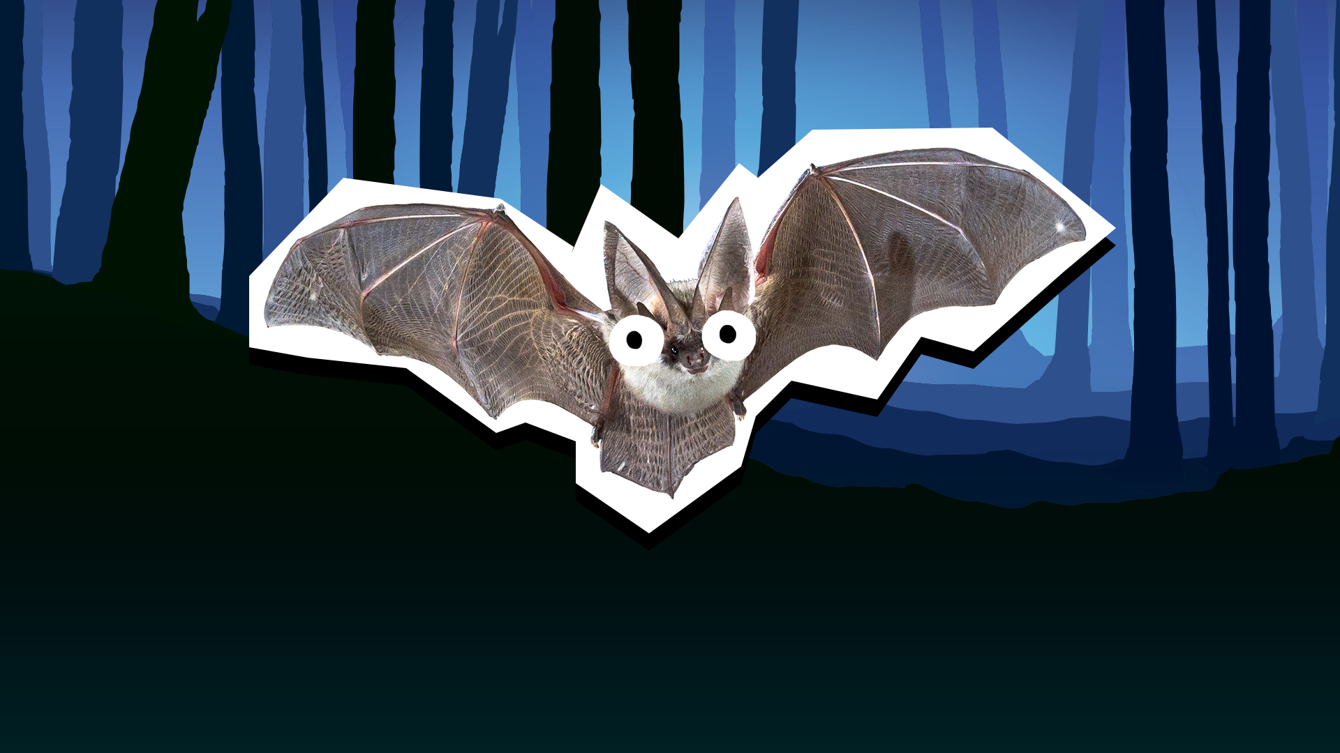 A spooky looking bat flying in a haunted looking forest