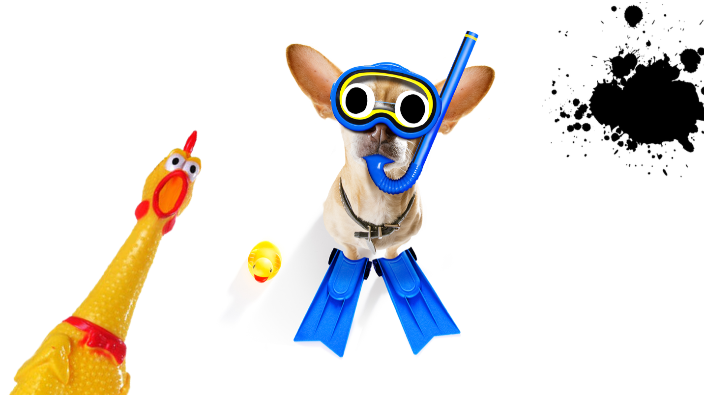 Dog in scuba gear on white background