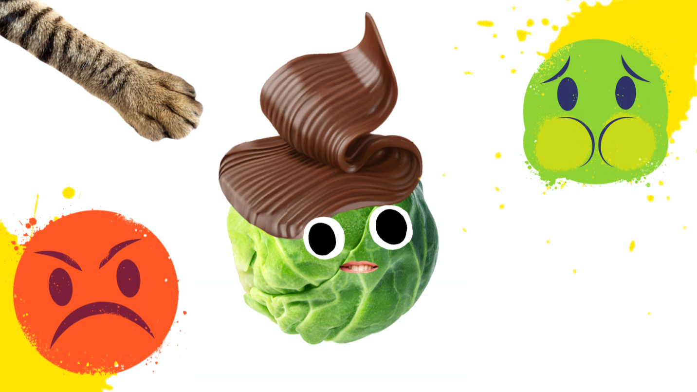 A chocolate sprout 