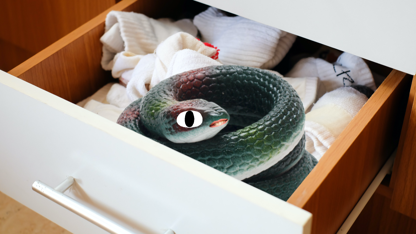 A plastic snake lurks in an untidy sock drawer