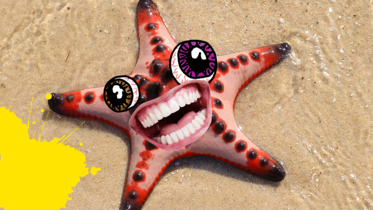 Starfish on beach with face