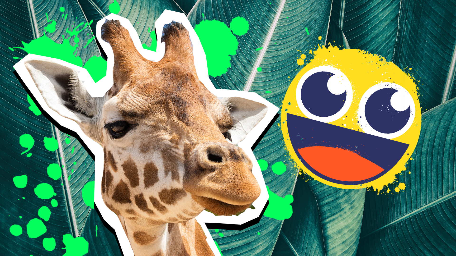 Giraffe facts thumbnail