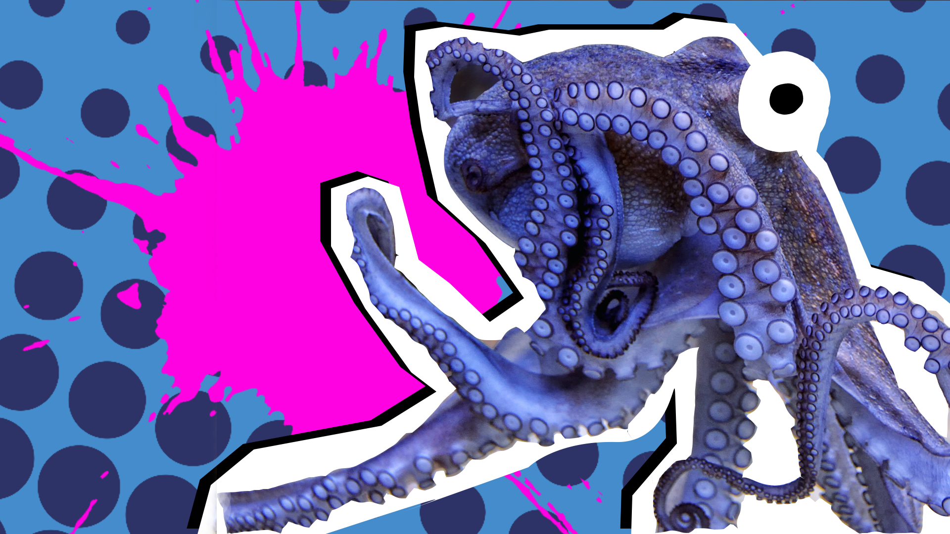 Octopus Facts Thumbnail