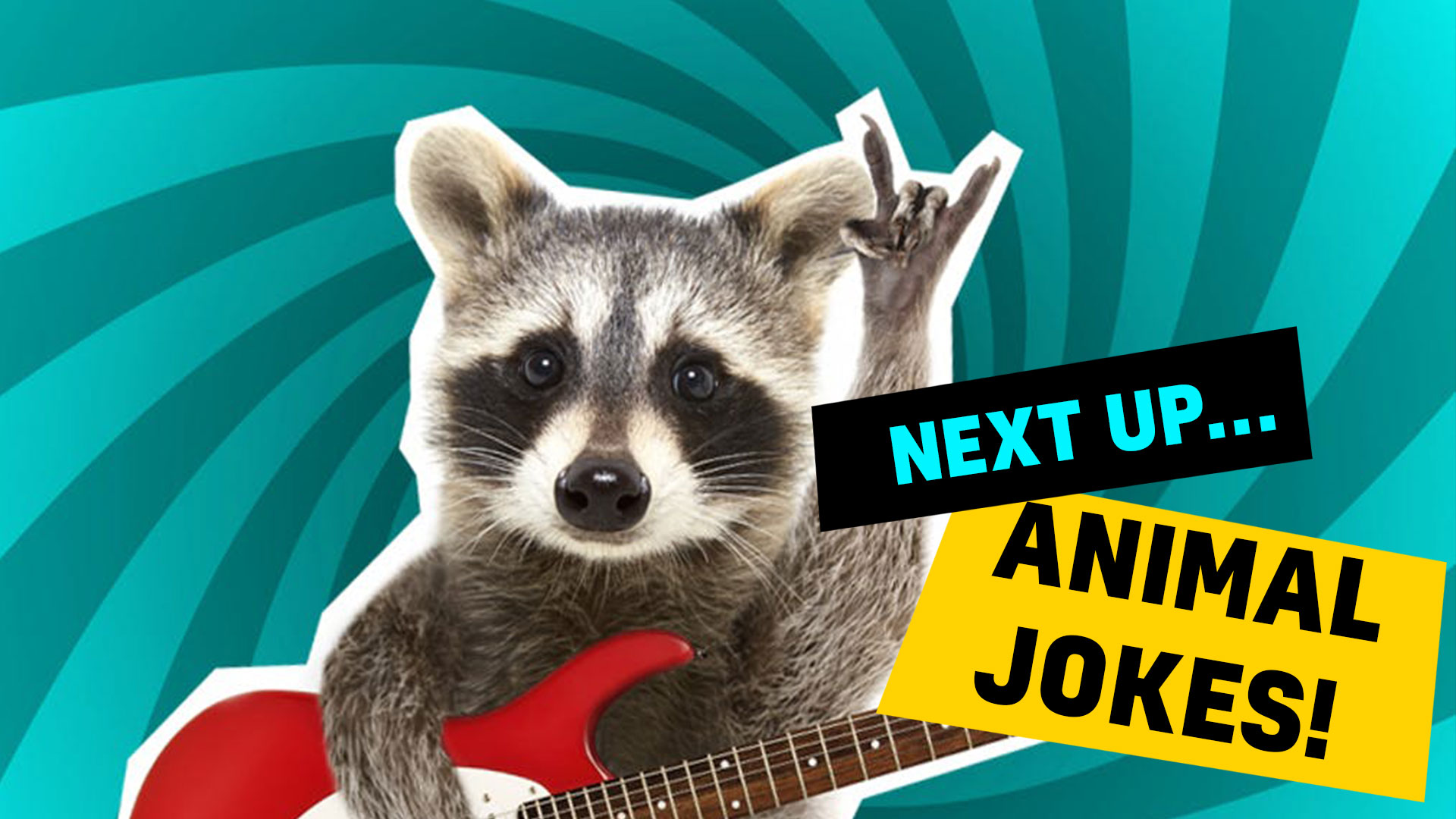 A racoon plays the guitar while you enjoy our animal jokes